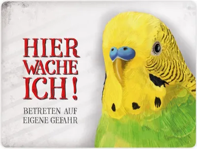 Produktbild von Metallschild XL mit Wellensittich Motiv und Spruch: Betreten auf eigene Gefahr