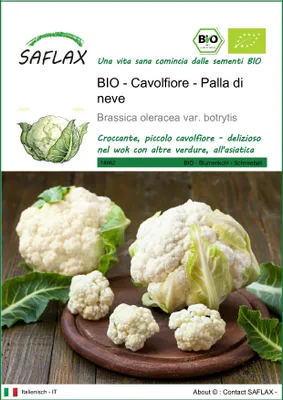 Immagine prodotto di SAFLAX -- Cavolfiore - Palla di neve - 70 semi - Brassica