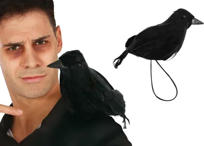 Productafbeelding van Raaf met elastiek aan de schouder (15 cm) - Halloween- en dierthemafeesten - Zwart - Zwarte