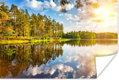Produktbild von MuchoWow® Poster Sonne - Wasser - Bäume 120x80 cm - Bilder
