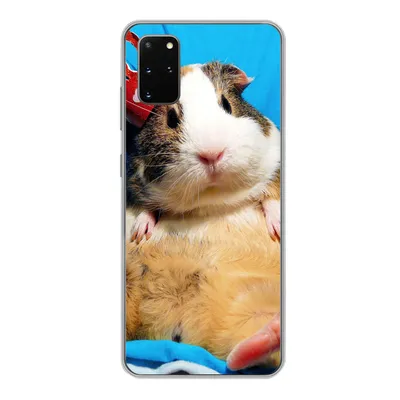 Produktbild von MuchoWow® Handyhülle Schutzhülle Hülle für Samsung Galaxy S20 Plus Meerschweinchen - Lustig - Krone - Kinder - Jungen - Mädchen - Kind Silikon Softcase Handy Hülle - Hartschale