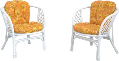 Produktbild von 2er-Set Rattansessel mit Kissen Sonja