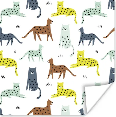 Produktbild von MuchoWow® Poster Katze - Tiere - Weiß 50x50 cm - Wohnzimmerdekoration
