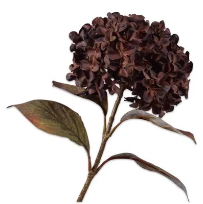Produktbild von Silk-ka Kunstblume – Hortensienzweig, braun-burgunderrot, 67 cm