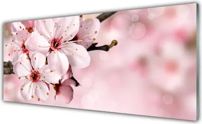 Produktbild von Glasbilder 125x50 Wandbild Druck auf Glas Blumen Pflanzen