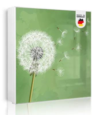 Zdjęcie produktu dla banjado metalowa szafka na klucze, duża 30x30 cm z 32 haczykami, może służyć jako tablica magnetyczna, biały korpus, zawias po lewej stronie, Pusteblume 3 [SKGW2 10804]