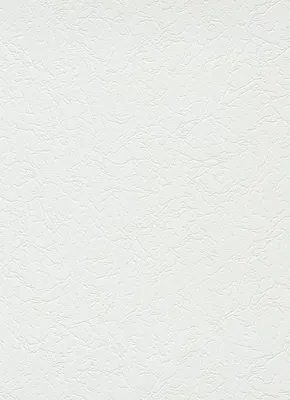 Produktbild von Erismann Vinyltapete Putzstruktur weiß 15 x 0,53 m  weiß, grün