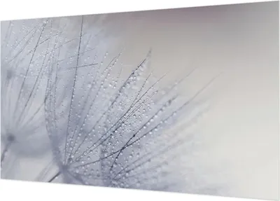 Produktbild von Selbstklebende Fototapete - Wandbilder für Wohnzimmer - 416x254 - Dekorative Wandfolie - Modernes Design für Wanddekoration - Tapeten für Innenräume - Tauiger Löwenzahn