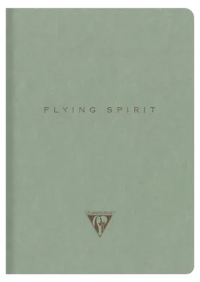 Produktbild von Clairefontaine 5x Notizbuch A5 14,8x21cm, 48 Bl liniert, 90g Graugrün 107536C