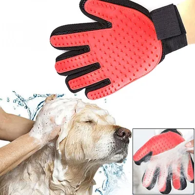 Image de Gant de massage chien & chat, couleur:rouge