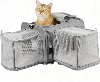 Hunde-Transportbox, Hauptbild