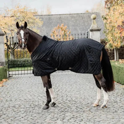 A horse wearing a black stable rug stands on a cobblestone driveway in front of a building with trees in the background.