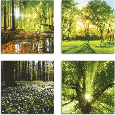 Produktbild von ARTland Leinwandbilder Set, 4tlg. Wald Bach Frühling Windrosen Sonne Baum Größe: 30x30 cm