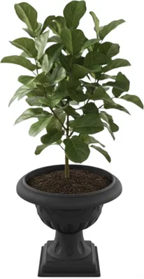 Immagine prodotto di Vaso da giardino Ø 47 cm H 52,5 cm rotondo su piedistallo grafite  motivo 3D fioriera