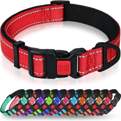 Image de Collier pour chien en néoprène et nylon, rouge, taille XS (20-30 cm), réglable et réfléchissant