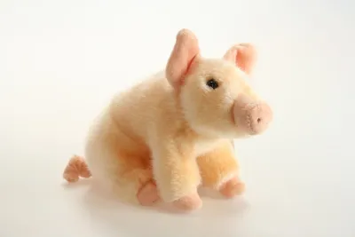 Immagine prodotto di Porcellino di peluche