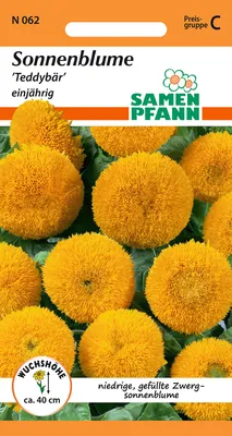 Artikelbild 1 von 'Sonnenblume Teddybär' aus der Kategorie Sonnenblumensamen