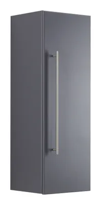 Produktbild von Hochschrank 100 cm anthrazit : Anthrazit Varianten: Anthrazit