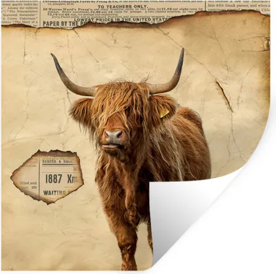 Produktbild von MuchoWow® Wandtattoo Wandsticker Wandaufkleber Schottischer Highlander - Vintage - Kuh 30x30 cm Selbstklebend und Repositionierbar - Repositionierbar - Wasser abweisend