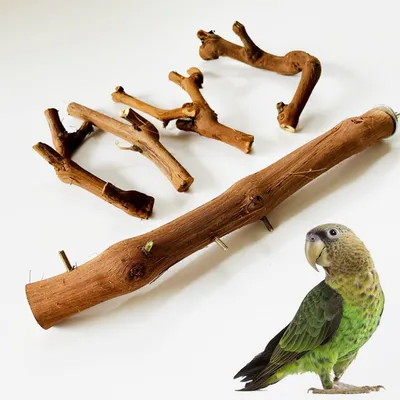 Immagine prodotto di Supporto per uccelli in legno naturale, a forma di ramo di vite ramificato, lunghezza 30 cm