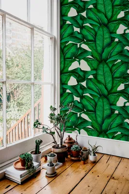 Produktbild von Coloray Fototapete 152x104 cm Vlies-Fototapete - Botanische Blätter