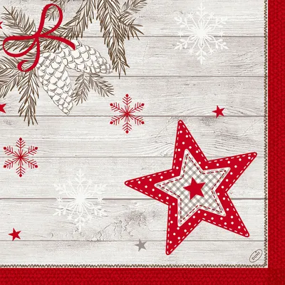 Immagine prodotto di Duni Dunilin tovaglioli Cozy Winter 40 x 40cm 45 pezzi