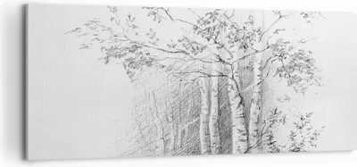Produktbild von Bild auf Leinwand - Leinwandbild - Einteilig - Skizze Wald Birke - 100x40cm - Wand Bild - Wanddeko - Wandbilder - Leinwanddruck - Bilder - Wanddekoration - Leinwand bilder - Wandbild - AB100x40-4280