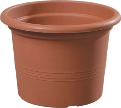Produktbild von Glockenblumen-Blumentopf aus Terrakotta, Durchmesser 40 cm