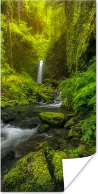 Produktbild von MuchoWow® Poster Schönes Bild vom Dschungel 40x80 cm - Dekoration