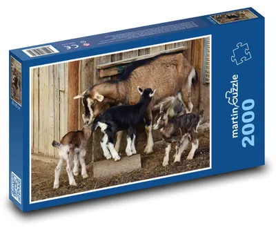 Produktbild von Puzzle 2000 Ziegen und Zicklein auf dem Bauernhof - martinpuzzle