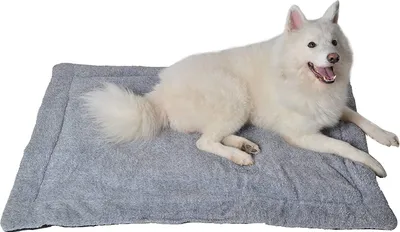 Produktbild von RAIKOU Hundedecke Katzendecken Waschbar und Flauschig, Weiche Warme Fleece Haustier Decken für Kleine Mittlere Hunde Katzen, Haustierdecke Schlafmatte für Sofa Bett, Hellgrau Melange 60x40 cm