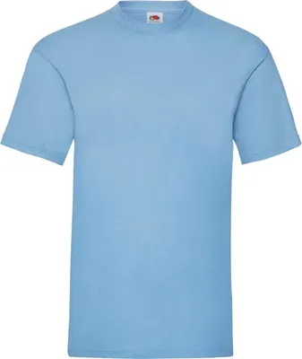 Produktbild von Herren-T-Shirt, Kurzarm - FOL VALUEWEIGHT T - sky blue - Größe S