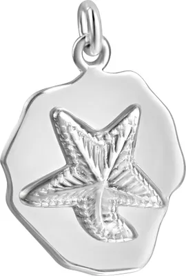 Produktbild von V Anhänger 925/- Sterling Silber 2,1cm weiß 301240124