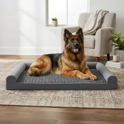 Produktbild von Orthopädisches Schaum Hundebett XXL mit eiförmigem Schaumkissen 135 x 91 cm