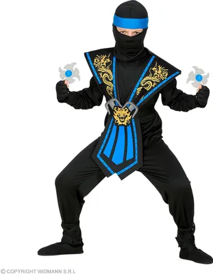 Produktbild von PAT Blauer Kombat Ninja     0