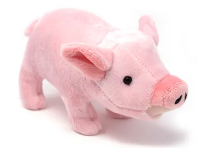 Immagine prodotto di Cornelissen - Peluche - Maiale - 21 cm