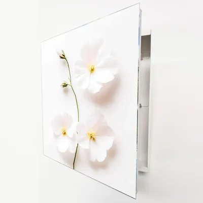 Produktbild von Schlüsselkasten Weiß Metall, weiße Blumen Motiv hinter Glas, Moderne Schlüsselbox linksöffnend, 32x28x6,5 cm, 20 Haken für Ordnung im Flur.