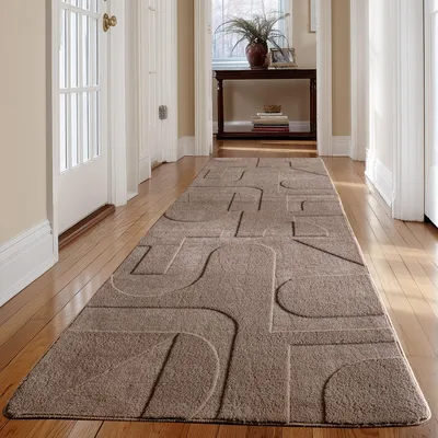 A hallway with a runner rug.