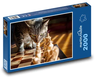 Obrázek produktu pro martinpuzzle - Puzzle 2000 - Kočka a šachy