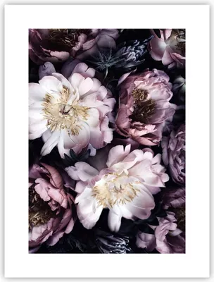 Produktbild von Poster - Poster ohne Rahmen - Pfingstrosen Veilchen Blumen - 30x40 cm - Wand Bild - Wanddeko - Wandbilder - Kunstposter - Wandposter - Bilder - Kunstdruck - Wanddekoration - Wandbild - P2XPA30x40-5076