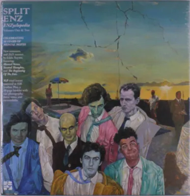 Obrázek produktu pro Split Enz: Enzyclopedia Vol. 1 & 2 (Box Set) (Remastered & Remixed)