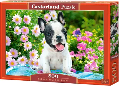 Produktbild von Puzzle, 500 Teile: Französischer Bulldoggenwelpe, Castorland 53650