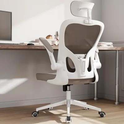 Productafbeelding van Ergonomische Bureau Stoel met Lendesteun en Verstelbare Armleuningen
