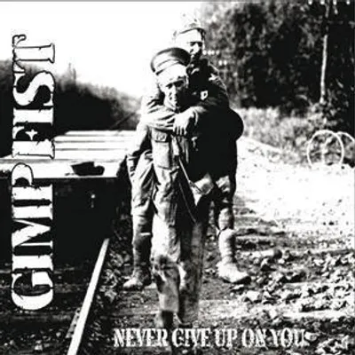 Produktbild von Never Give up on You