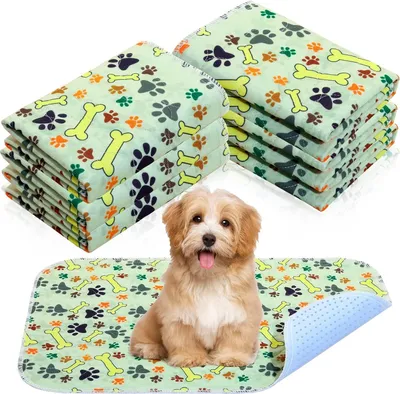 Produktbild von 6 Stück Waschbare PIPI Pads für Hunde 60 x 40 cm Wiederverwendbare Welpen Pads Saugfähige wasserdichte Hund Urin Pads Hundematte rutschfeste Trainingsunterlagen Geruchskontrolle für Kleine Haustiere
