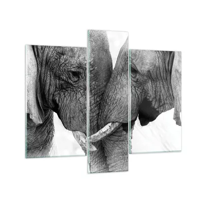 Produktbild von Bilder auf glas - 3 Teile - Elefanten Safari Bond - 95x80cm - Glasbilder - Wandbilder - Bilder - zum Aufhängen bereit - Wanddekoration aus Glas - Glas Bilder - Wandbild auf Glas - GCB95x80-4973