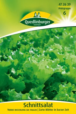 Artikelbild 2 von 'Schnittsalat verde ricciolina' aus der Kategorie Salatsamen