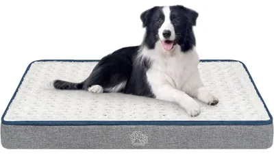 Immagine prodotto di Cuccia per cani, dimensioni L, 90x60x7,5 cm, grigia, ortopedica, lavabile, impermeabile, con rivestimento removibile