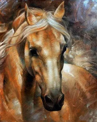 Produktbild von Malen nach Zahlen: Pferdeporträt, 40 x 50 cm, auf einem Rahmen