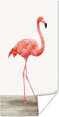 Produktbild von MuchoWow® Poster Flamingo - Rosa - Vogel - Mädchen - Jungen - Kind 20x40 cm - Plakat - Foto